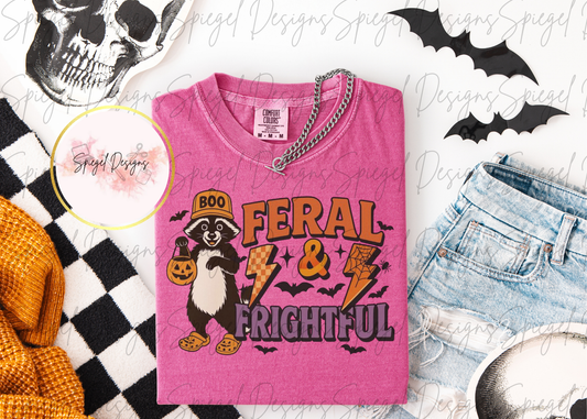 Raccoon Feral & Frightful